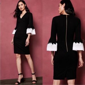Ted Baker Dress Rastrel Mini Lace Flare Sleeve in Black